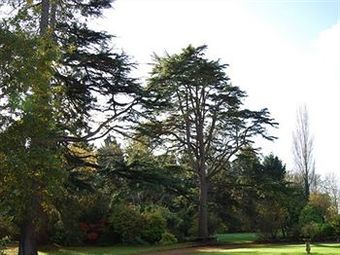 Bed & Breakfast Langaller Manor House