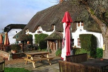 Hostal The Hatchet Inn