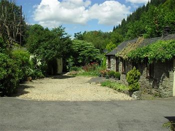 Bed & Breakfast Ferndale House
