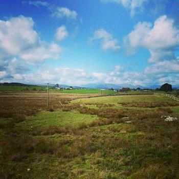 Hotel Llwyn Onn Guest House