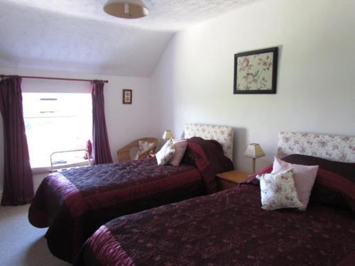 Celyn Villa Bed And Breakfast