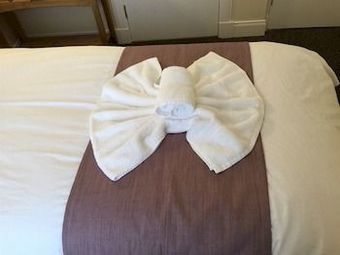 Bed & Breakfast The Royal Guest House