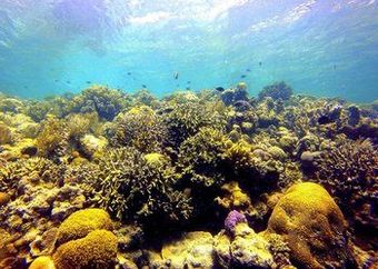 Apartamento Scuba Tiger Semporna Holiday Resort