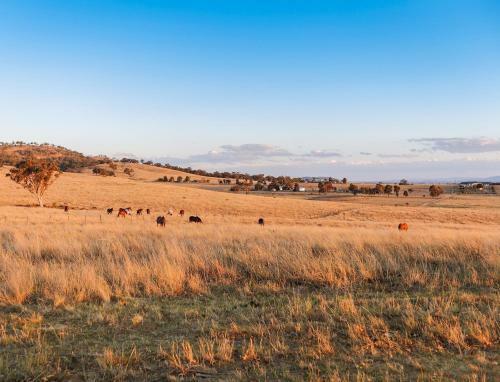 Bed & Breakfast Strathearn Park Lodge