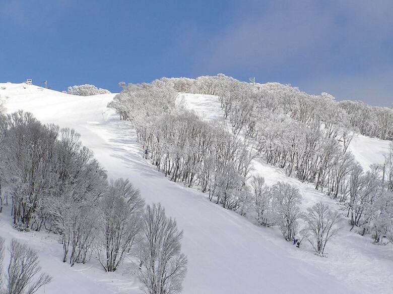 Apartamento Falls Creek Country Club