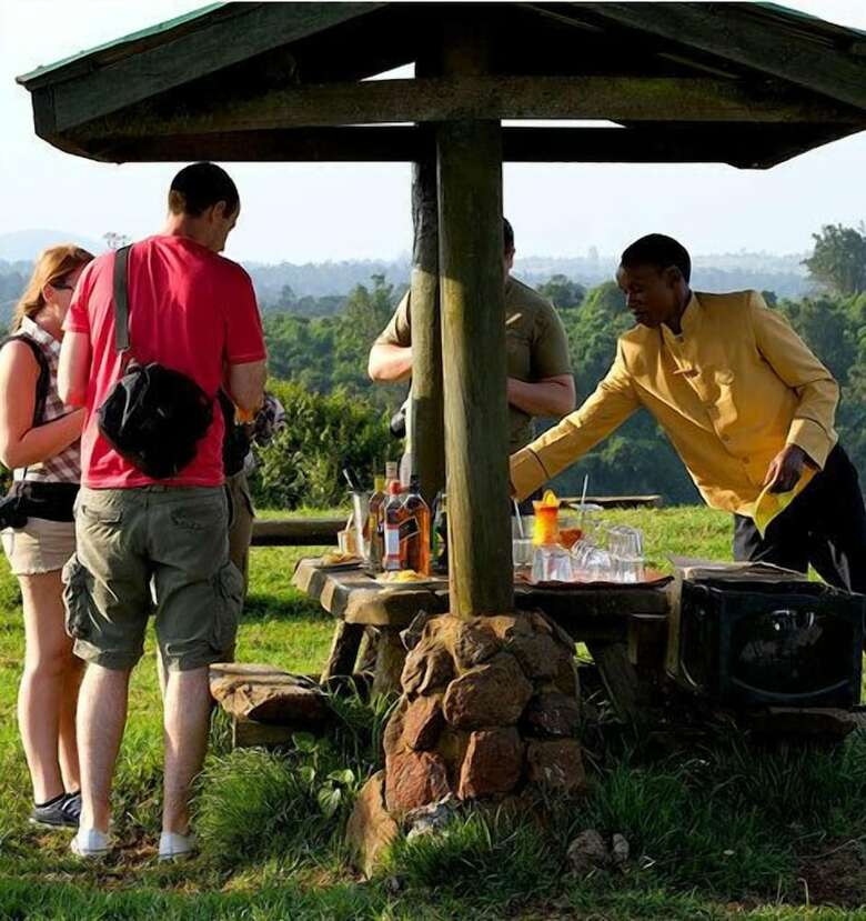 Lodge Treetops