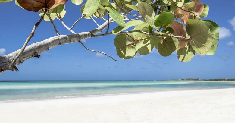 Hotel Melia Jardines Del Rey