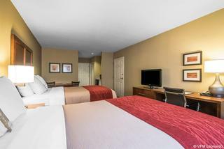 Hotel Comfort Inn & Suites-white Mountains