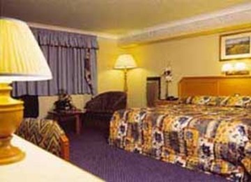 Hotel Carrington House
