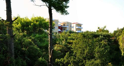 Hotel Adonis