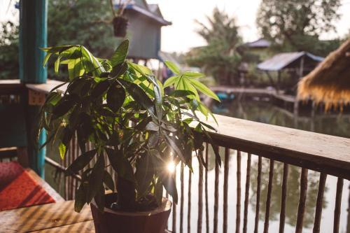 Hostal Man'groove Guesthouse
