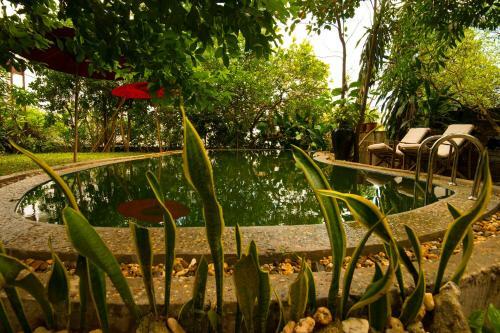 Posada Mango Hill Inn