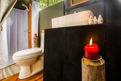 Mahoora Tented Safari Camp - Yala