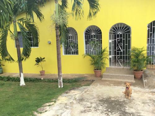 Hostal My Father's Works Jamaica