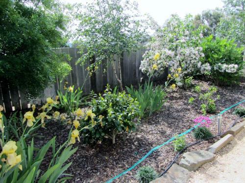 Bed & Breakfast Elm Trees Accommodation @ Ross