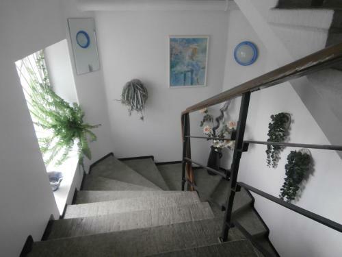 Private Apartment For You