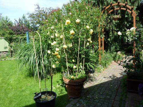 Apartamento Ferienwohnung Friedrichshagen
