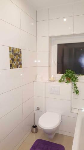 Holiday Apartment Essen