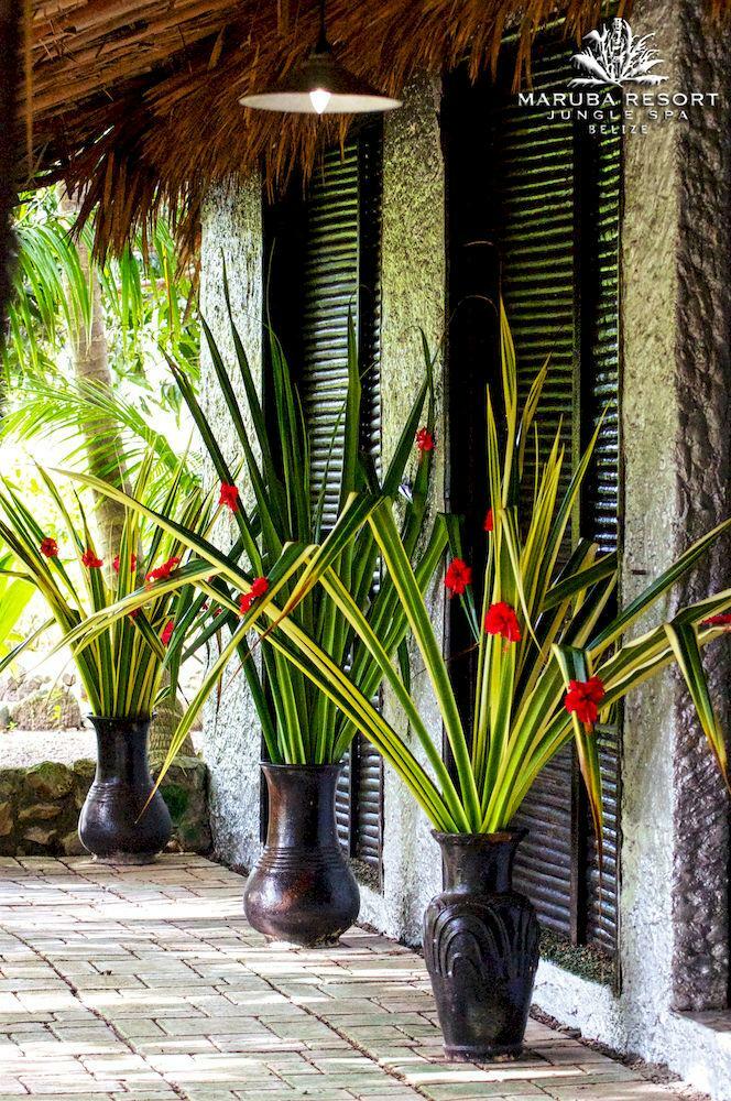Hotel Maruba Resort & Jungle Spa