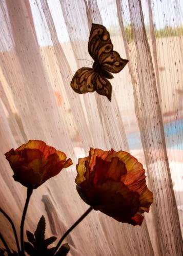 Madonnina Homestay