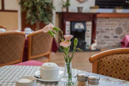 The Buck Hotel