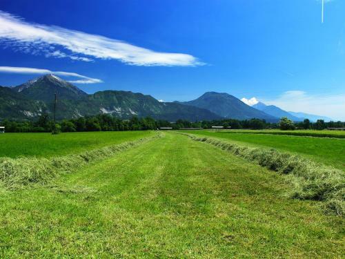 Holiday Home Bled Wes