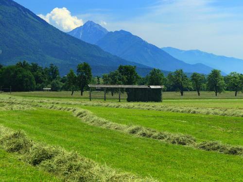 Holiday Home Bled Wes