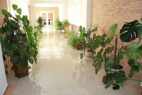 Hotel Sok