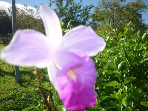 Agroturismo Rancho De Moncho