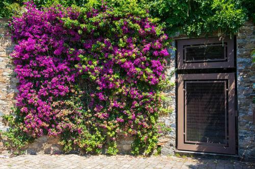 B&B Renal�