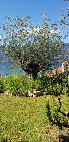 B&B Renal�