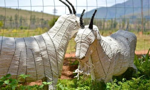 Agroturismo Lydenrust Guest Farm