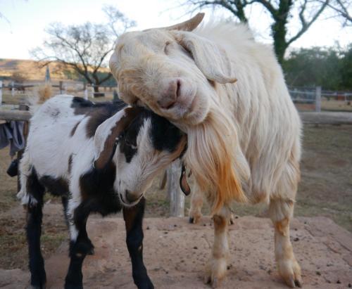 Agroturismo Lydenrust Guest Farm
