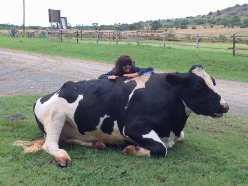 Agroturismo Lydenrust Guest Farm