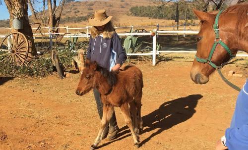 Agroturismo Lydenrust Guest Farm