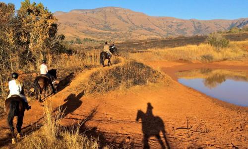 Agroturismo Lydenrust Guest Farm