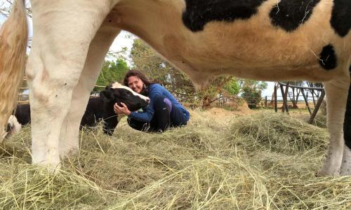 Agroturismo Lydenrust Guest Farm