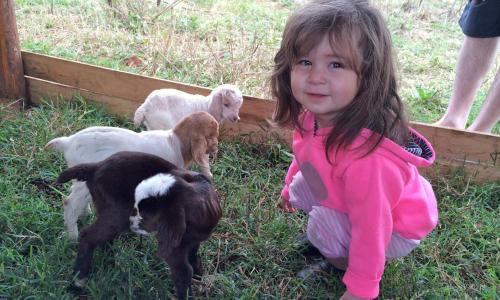 Agroturismo Lydenrust Guest Farm