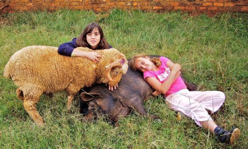 Agroturismo Lydenrust Guest Farm