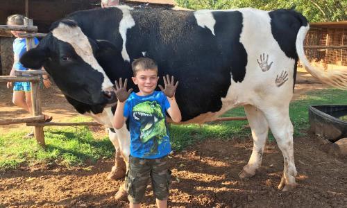Agroturismo Lydenrust Guest Farm