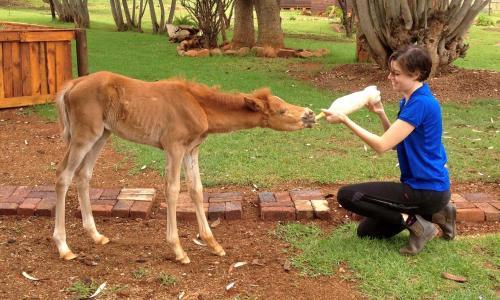 Agroturismo Lydenrust Guest Farm