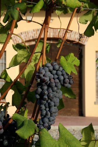 Agroturismo Cascina Delle Rose