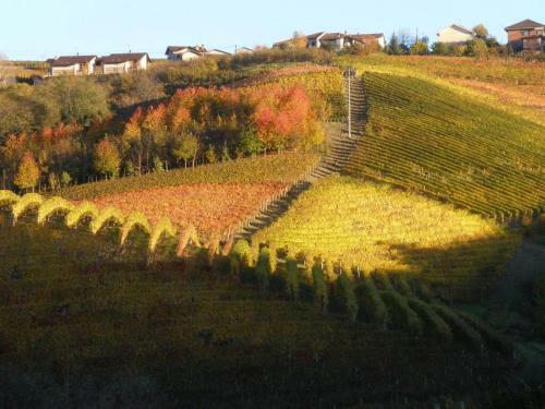 Agroturismo Cascina Delle Rose