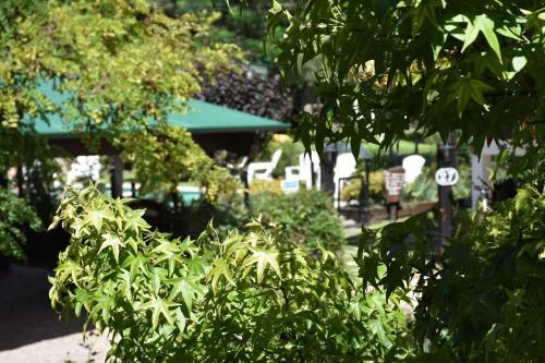 Bad-wiessee Apart Hotel & Spa