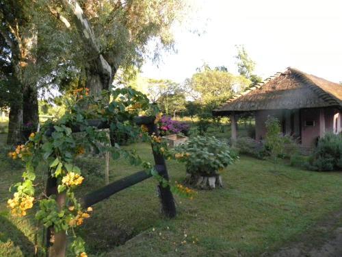 Bamb� River Lodge