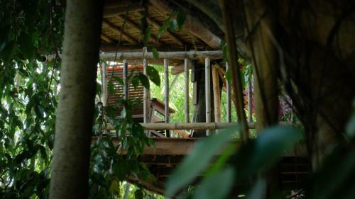 Hostal Bukit Raya Guesthouse
