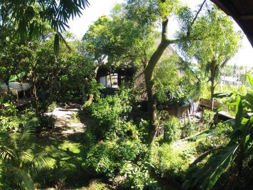 Hostal Bukit Raya Guesthouse