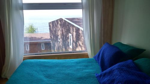 Caba�as Lago Ranco