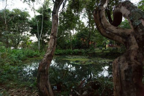 Hostal Ti� Isolda Artes & Hospedaria