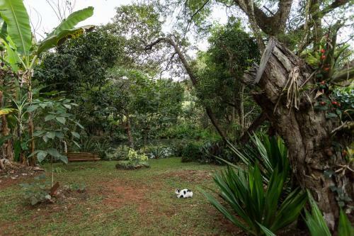 Hostal Ti� Isolda Artes & Hospedaria